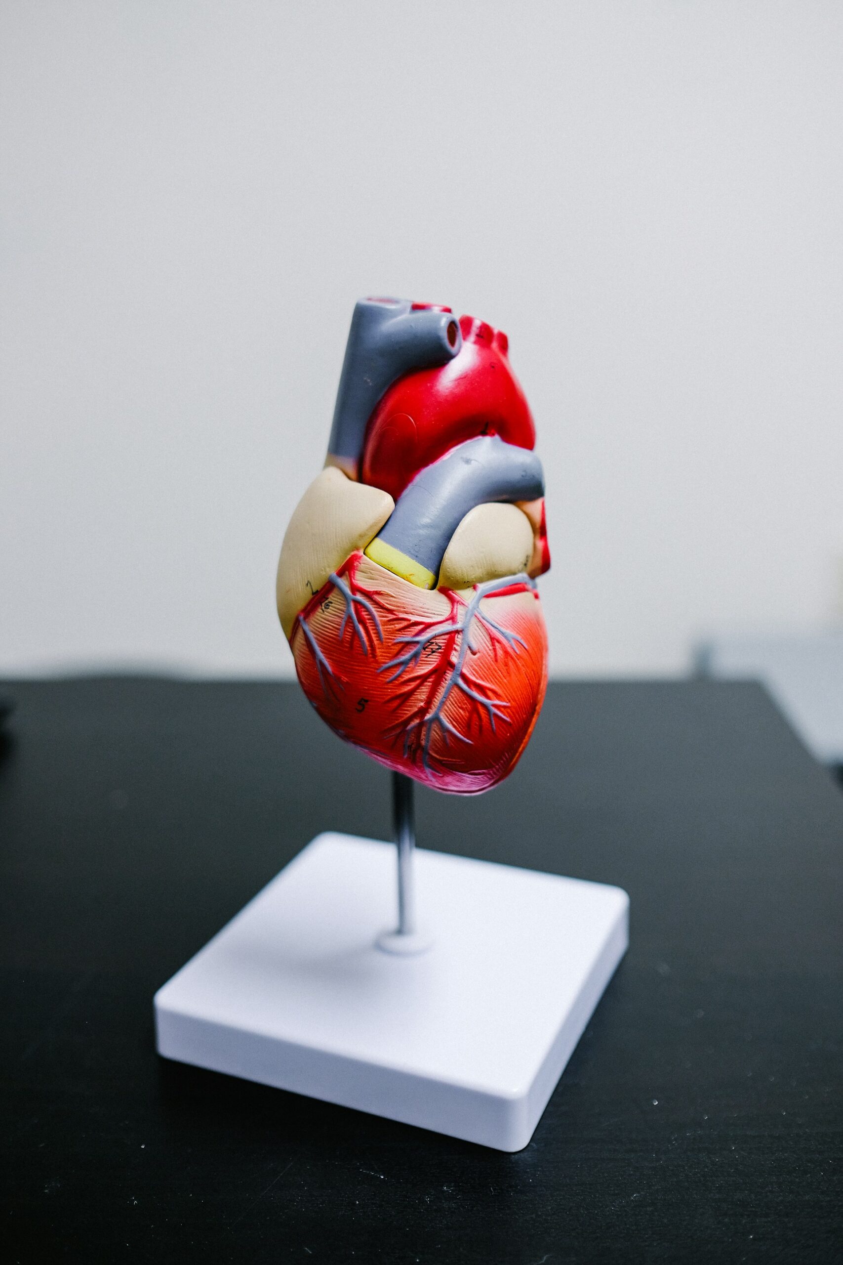 AI in Cardiology